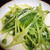 鍋だしで作る豆苗の簡単おつまみ